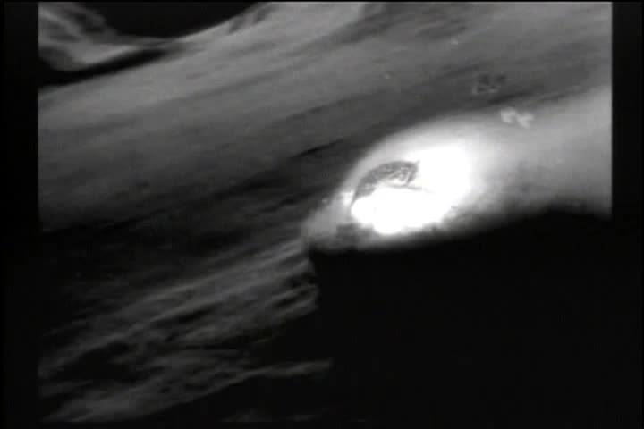 Thumbnail image for CC: Terror in the Midnight Sun (1958)
