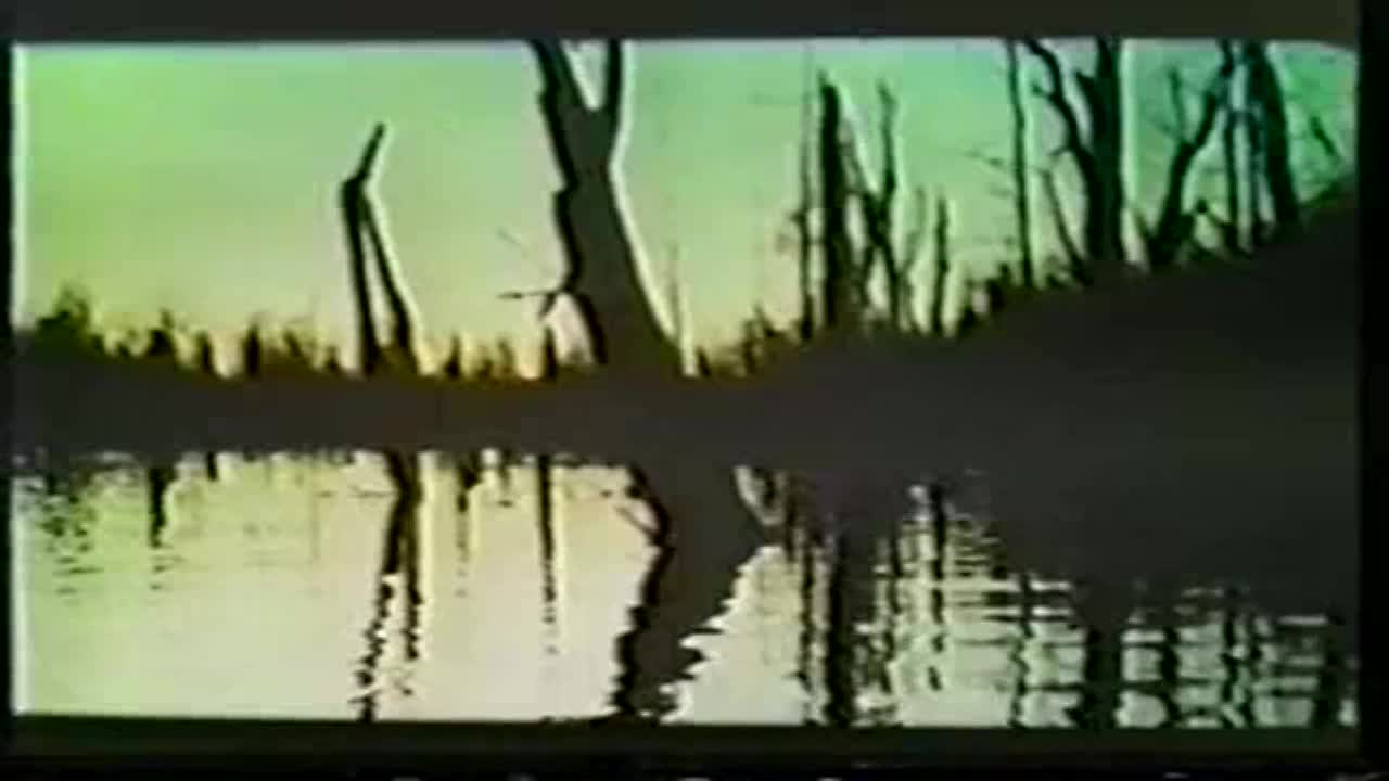 Thumbnail image for Creepy Classics: The Legend of Boggy Creek (1972)