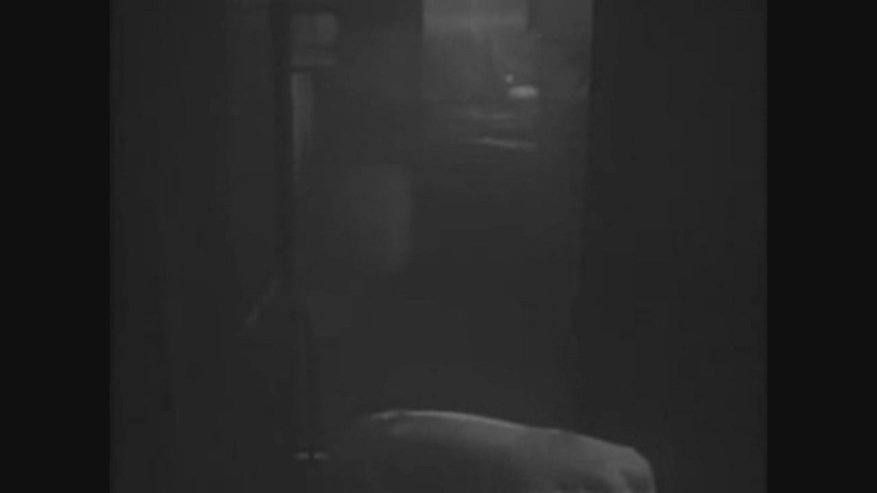 Thumbnail image for PDT: Whistle Stop (1945)