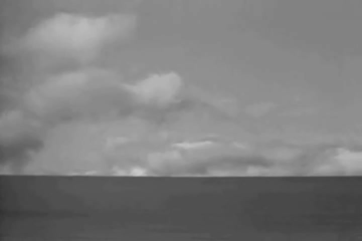 Thumbnail image for PDT: Bees in Paradise (1944)