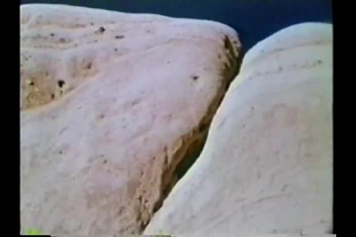 Thumbnail image for PDT: Curse of Bigfoot (1972)
