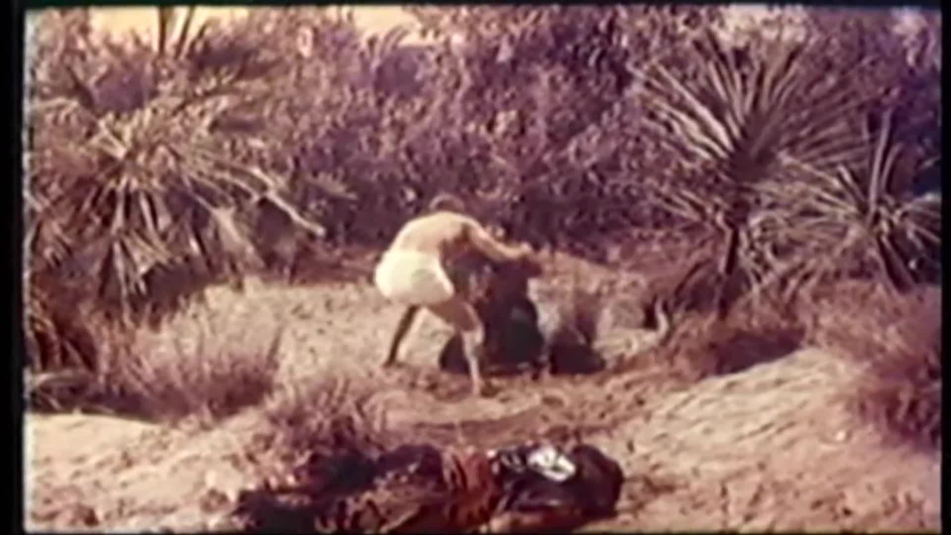 Thumbnail image for PDT: The Devil of the Desert Against the Son of Hercules (1962)