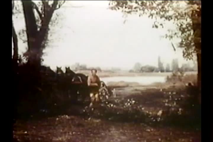 Thumbnail image for PDT: The Fury of Hercules (1963)