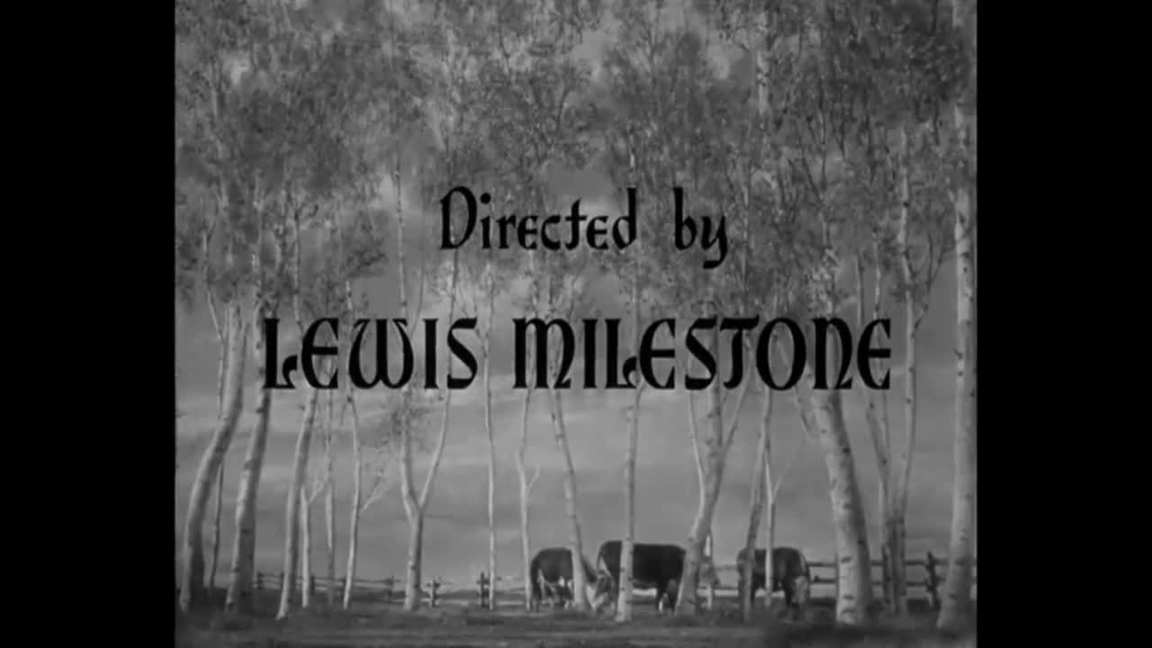 Thumbnail image for PDT: The North Star (1943)