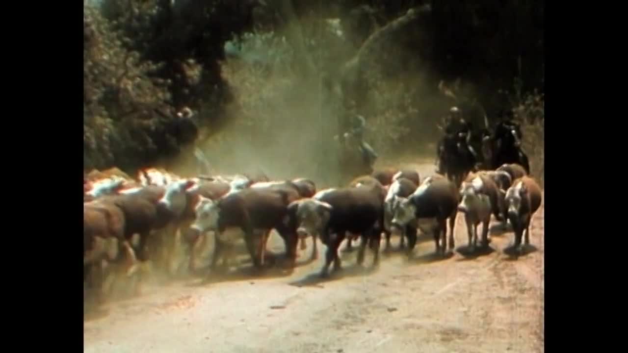 Thumbnail image for PDT:  Song of Old Wyoming (1945)